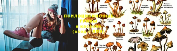 МДМА Алексин