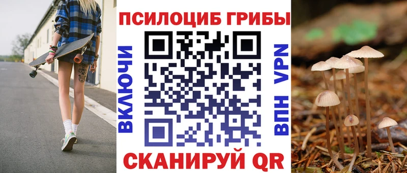 Псилоцибиновые грибы GOLDEN TEACHER  Купить  Красково 