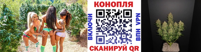Купить закладки  Красково  Каннабис Amnesia 